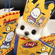 ชัยเกษม นิติสิริ avatar